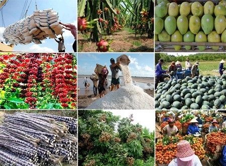 Xuất khẩu nông sản đạt kỷ lục mới 